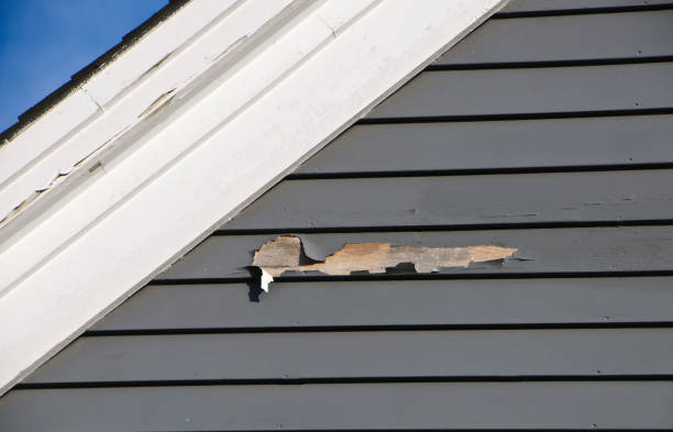 Reliable Cold Spring, MN Siding Services Solutions